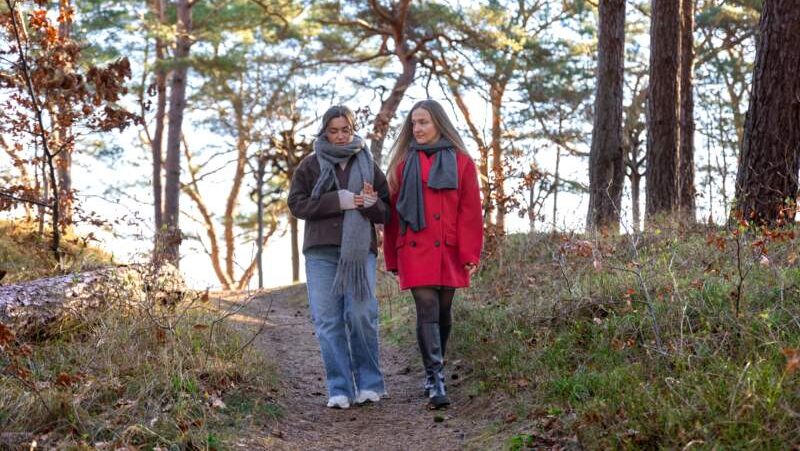 Two women walking along a wooded trail in fall clothing, chatting among pine trees — moving services.
